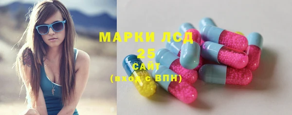 винт Пересвет