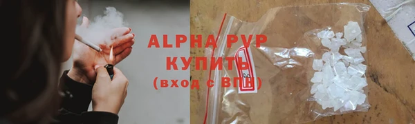 СК Михайловск