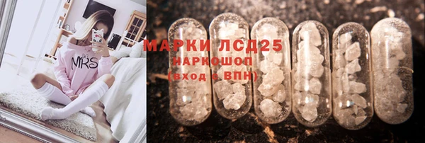 СК Михайловск