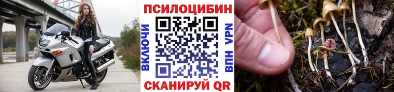 Галлюциногенные грибы Cubensis  ОМГ ОМГ как войти  Челябинск 