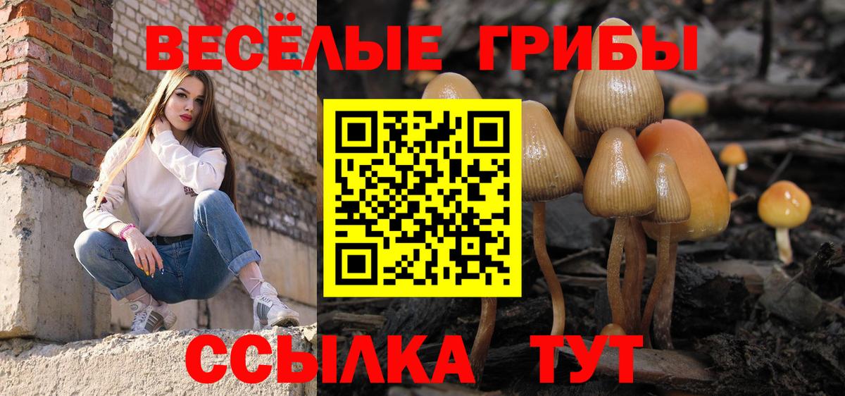 наркотики  Псилоцибиновые грибы MAGIC MUSHROOMS  Псилоцибиновые грибы прущие грибы  Вход с VPN  Челябинск 