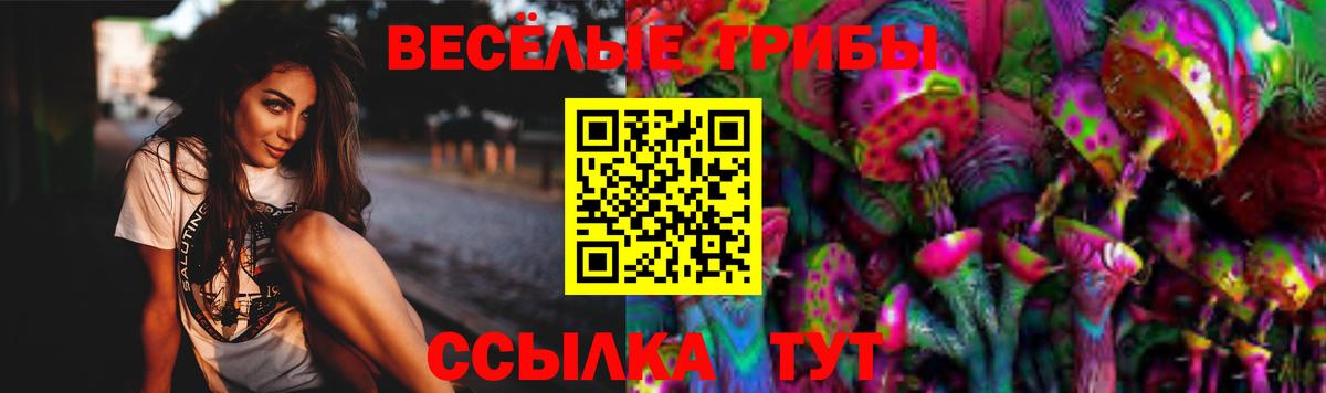 Галлюциногенные грибы мухоморы Челябинск